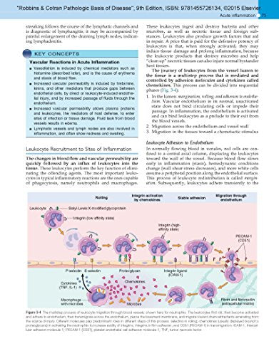 Robbins & Cotran Pathologic Basis of Disease (Robbins Pathology)