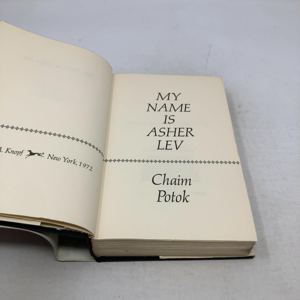 My Name Is Asher Lev