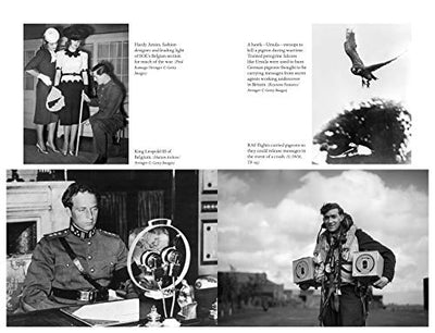Operation Columba The Secret Pigeon Service