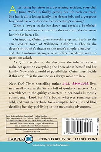 Lost and Found Sisters (The Wildstone Series, 1)