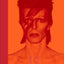 David Bowie Is (Museum of Contemporary Art, Chicago: Exhibition Catalogues)