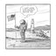 A Wealth of Pigeons: A Cartoon Collection