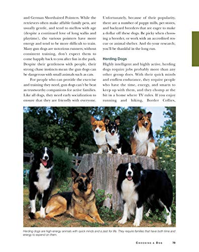 Original Dog Bible: The Definitive Source for All Things Dog (CompanionHouse Books) Your Dog, A to Z - Training, Behavior, and Grooming Tips, Breed Profiles, Health Remedies, Fun Activities, and More