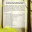 Outreach New Testament: New International Version, Green Forest Path