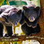 Once Upon Alaska: A Kids Photo Book