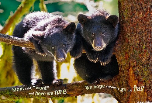 Once Upon Alaska: A Kids Photo Book