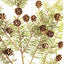 Trees Up Close: The Beauty of Their Bark, Leaves, Flowers, and Seeds (Seeing Series)