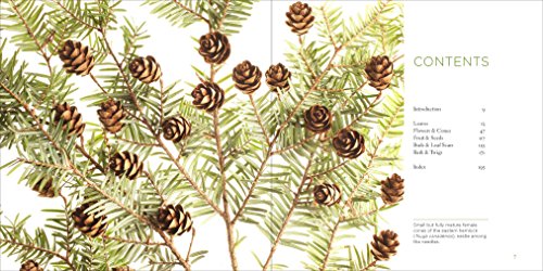 Trees Up Close: The Beauty of Their Bark, Leaves, Flowers, and Seeds (Seeing Series)