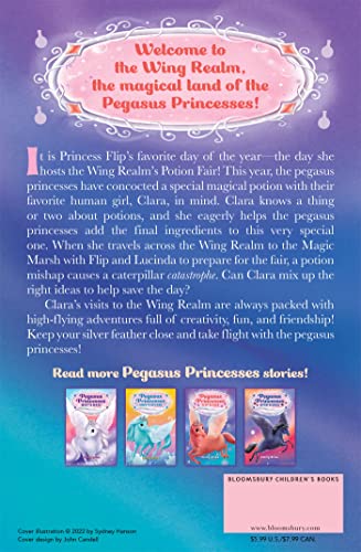 Pegasus Princesses 3: Flip's Fair