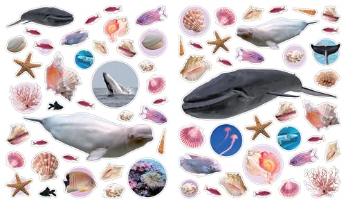 Eyelike Stickers: Ocean