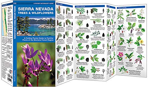 Sierra Nevada Trees & Wildflowers: A Folding Pocket Guide to Familiar Plants of the Montane Forest Region (Wildlife and Nature Identification)
