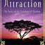 The Law of Attraction: The Basics of the Teachings of Abraha