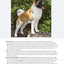 The New Complete Dog Book, 22nd Edition: Official Breed Standards and Profiles for Over 200 Breeds (CompanionHouse Books) American Kennel Club's Bible of Dogs: 920 Pages, 7 Variety Groups, 800 Photos
