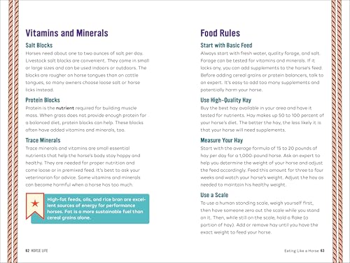 Horse Life: The Ultimate Guide to Caring for and Riding Horses for Kids