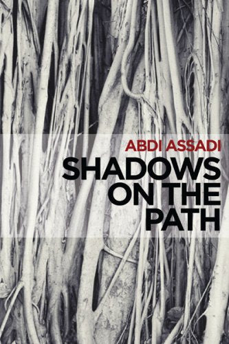 Shadows on the Path: Revelations and Pitfalls on the Spiritual Journey