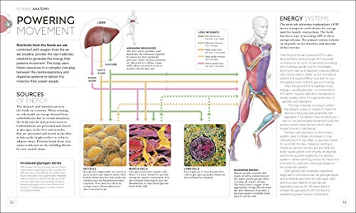 Science of Running: Analyze Your Technique, Prevent Injury