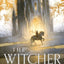 The Tower of Swallows (The Witcher, 6)
