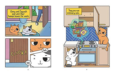 Cat & Cat Adventures: The Quest for Snacks: A Graphic Novel