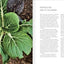 Green Fire: Extraordinary Ways to Grill Fruits and Vegetables, from the Master of Live-Fire Cooking