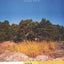 The Summer Book