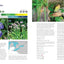 The Gardener's Guide to Native Plants of the Southern Great Lakes Region