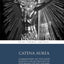 Catena Aurea: Commentary On the Four Gospels Collected Out of the Works of the Fathers: Volume 2 (4 Volumes)