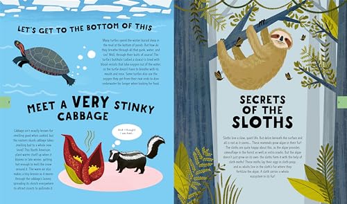 The Big Book of Useless Knowledge: 250 of the Coolest, Weirdest, and Most Unbelievable Facts You Wont Be Taught in School