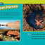 In the Ocean (National Geographic Kids Readers, Level 1/Co-Reader)