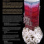 Ikons of the Mineral World: Nature's Finest Art