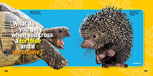 National Geographic Kids Just Joking: 300 Hilarious Jokes, Tricky Tongue Twisters, and Ridiculous Riddles
