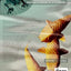 Origami Design Secrets: Mathematical Methods for an Ancient