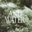 Through Fire and Water: The Life of Reb Noson of Breslov