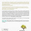 Social Cognition: From Brains to Culture