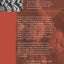 Between Silences: A Voice from China (Phoenix Poets)