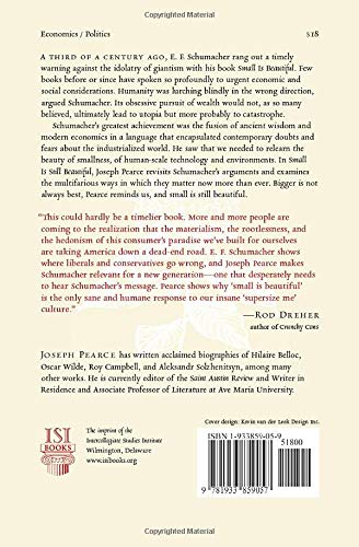 Small is Still Beautiful: Economics as if Families Mattered — back cover