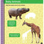 Brain Games - Sticker by Number: Safari Animals (For Kids Ages 3-6): A Kid's Sticker Activity Book With More Than 150 Stickers! (Brain Games - Sticker Activity)