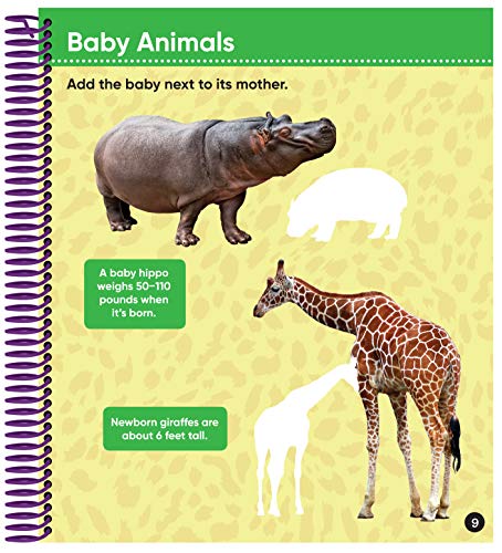 Brain Games - Sticker by Number: Safari Animals (For Kids Ages 3-6): A Kid's Sticker Activity Book With More Than 150 Stickers! (Brain Games - Sticker Activity)