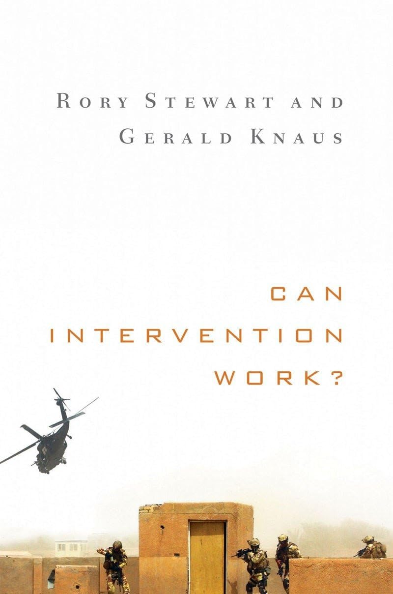 Can Intervention Work? (Norton Global Ethics Series) by Stew