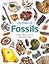 My Book of Fossils: A fact-filled guide to prehistoric life