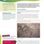 AQA Activate for KS3: Student Book 2