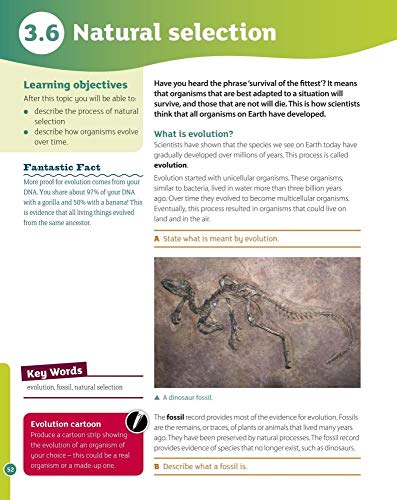 AQA Activate for KS3: Student Book 2