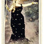 The Relative Tarot: Your Ancestral Blueprint for Self-Discovery (82 Cards and Full-Color Guidebook)