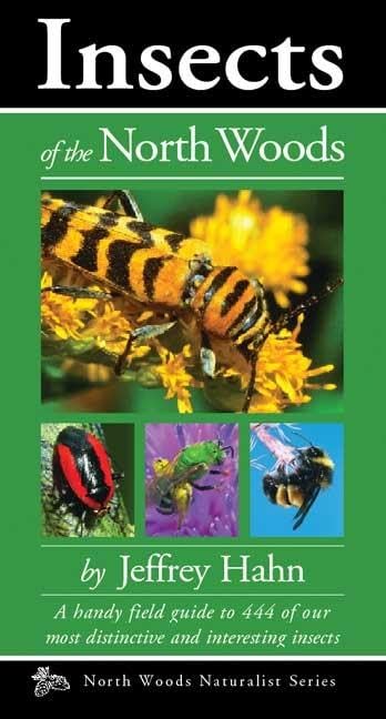 Insects of the North Woods (Naturalist Series)