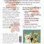 The Everything Yorkshire Terrier Book: A Complete Guide to Raising, Training, And Caring for Your Yorkie