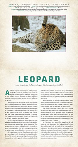Wild: Endangered Animals in Living Motion (Photicular)