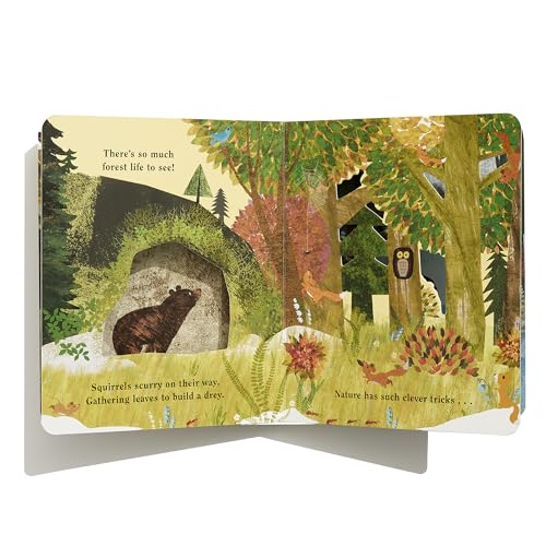 Home: A Peek-Through Board Book