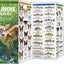 Illinois Wildlife: A Folding Pocket Guide to Familiar Animals (Wildlife and Nature Identification)