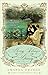 Henry Tilney's Diary (A Jane Austen Heroes Novel)