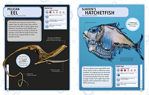 Sharks and Other Deadly Ocean Creatures Visual Encyclopedia (DK Children's Visual Encyclopedias)