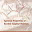 Spectral Properties of Banded Toeplitz Matrices